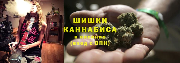 сатива Каменногорск