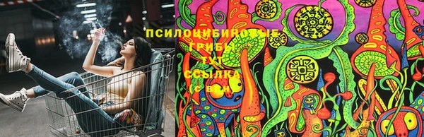 мет Каменка