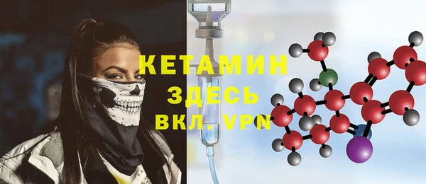 сатива Каменногорск