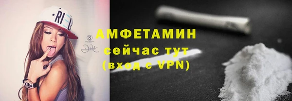 сатива Каменногорск