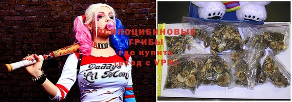 сатива Каменногорск