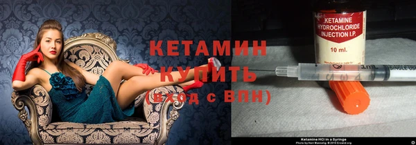 сатива Каменногорск